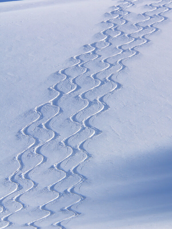 A close up of the tracks in the snow