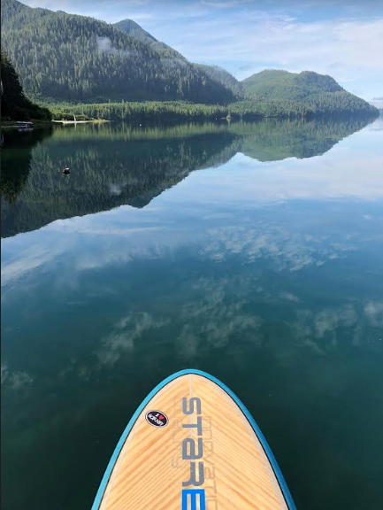 A paddle board is shown from the water.